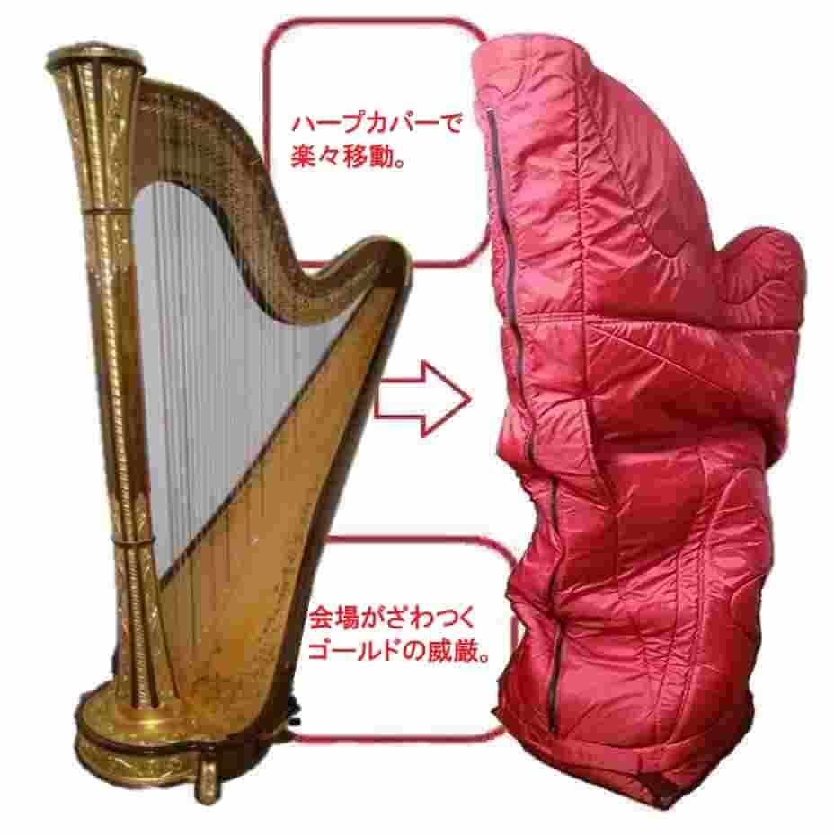 学校向けレンタルハープ